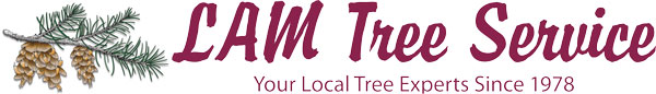 graphic of a pine branch with cones and words Lam Tree Service, your local tree experts since 1978