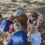Three little girls and a little boy, crouched down looking at bugs in the grass.