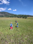 Kids hiking through a meadow