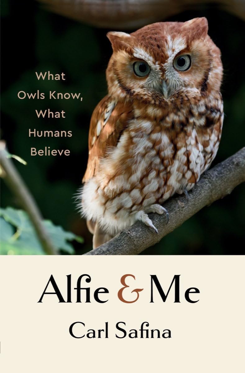 Book Review: Alfie & Me–What Owls Know, What Humans Believe