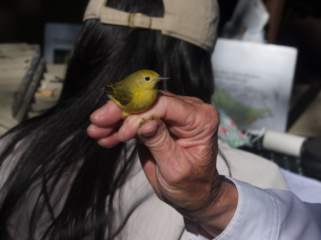 Highlights of  Visit to the Chatfield Banding Station