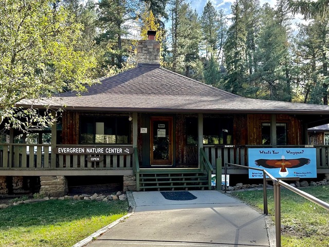 old house with wrap-around porch and center chimney