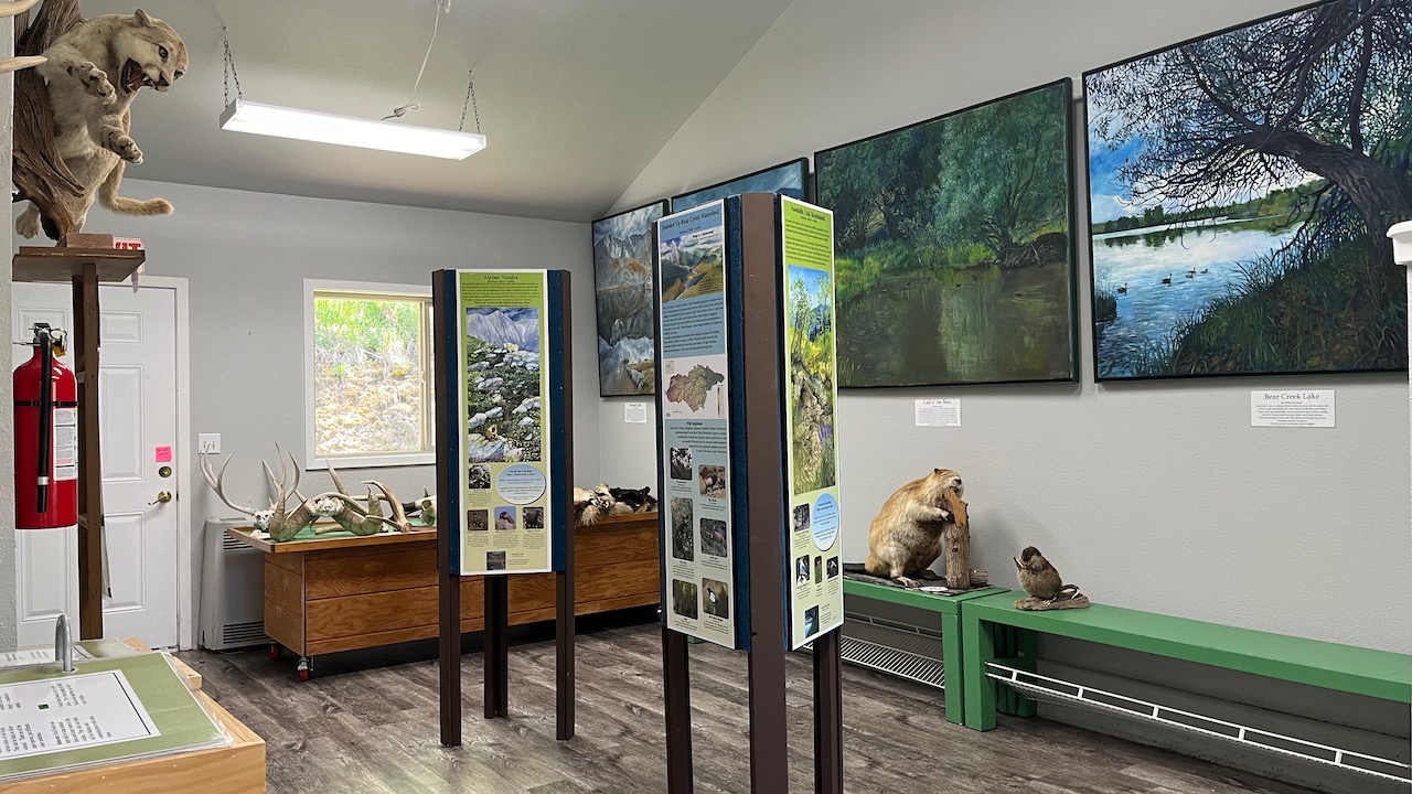 room with displays